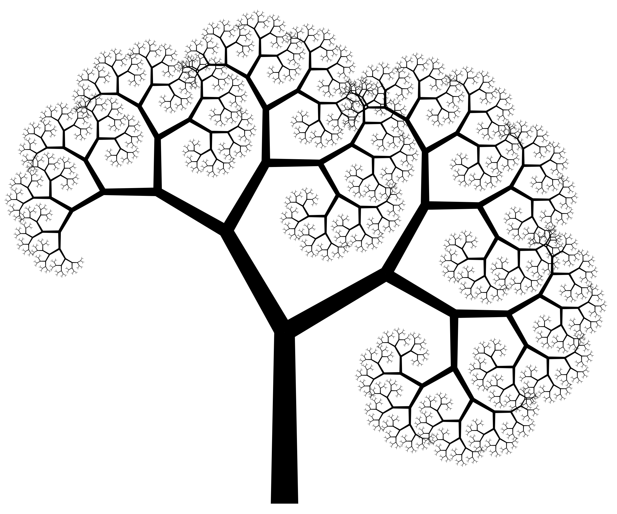 A fractal-tree with asymmetric leaves